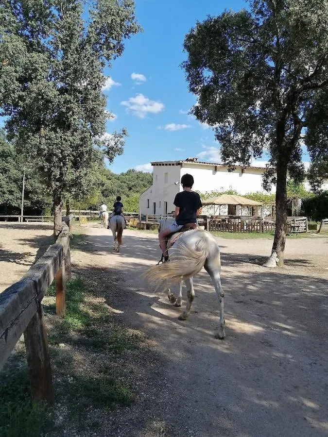 Casa Rural, Can Cirera Serinya 0*,